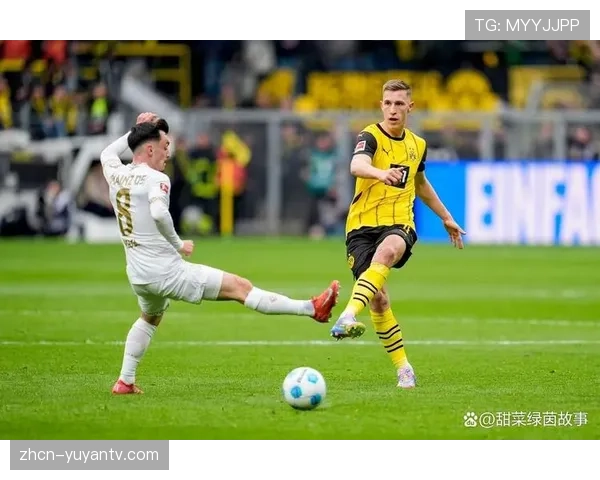 德甲发布联盟首份可持续发展报告，多特蒙德与弗赖堡获评“最绿色俱乐部”